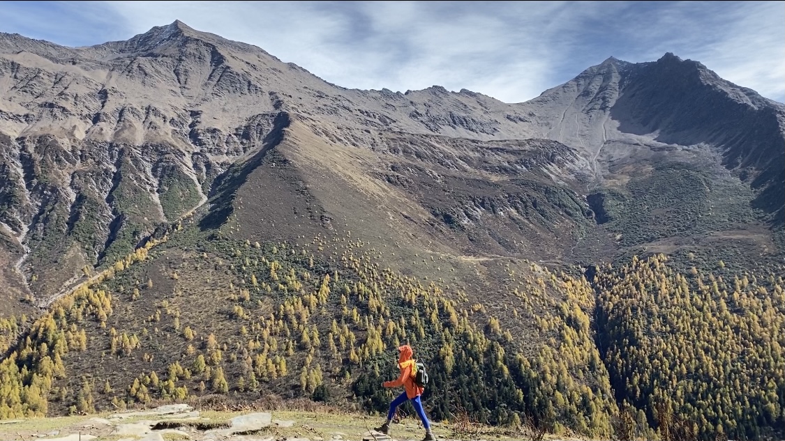 不久前圈层推广特色化设计您的宣传页面:长期免费引流的双核心,代涨平台0.2：公众号粉丝增长快速提升方案